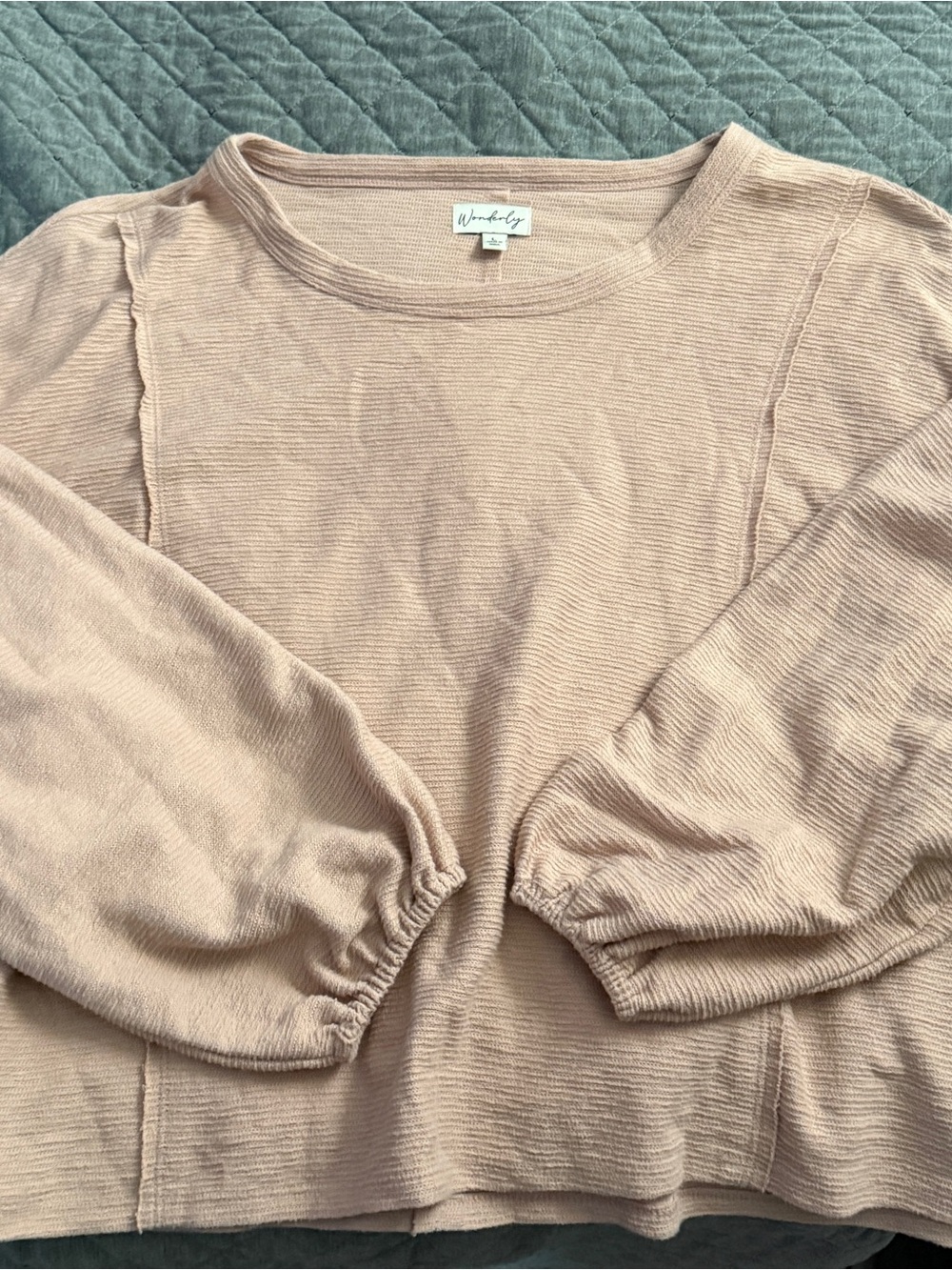 Wonderly Textured Balloon Sleeve Pullover Top Blush Color Exposed Stitch Large